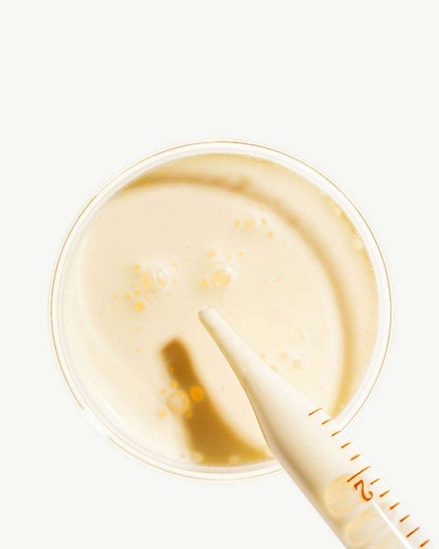 Kalmerende Honden Feromonen (CAPs)